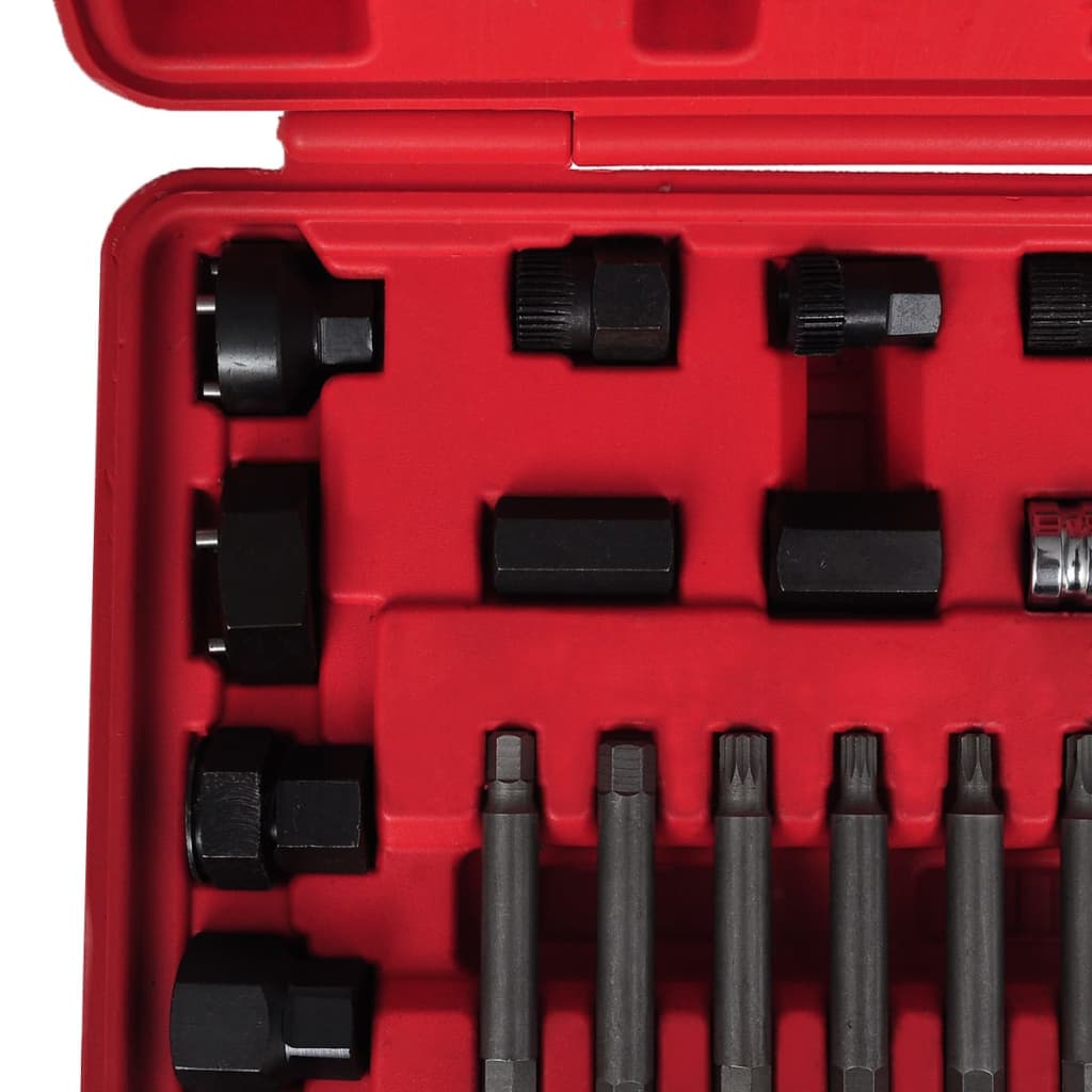 vidaXL Kit de démontage de roue libre d'alternateur 22 pcs