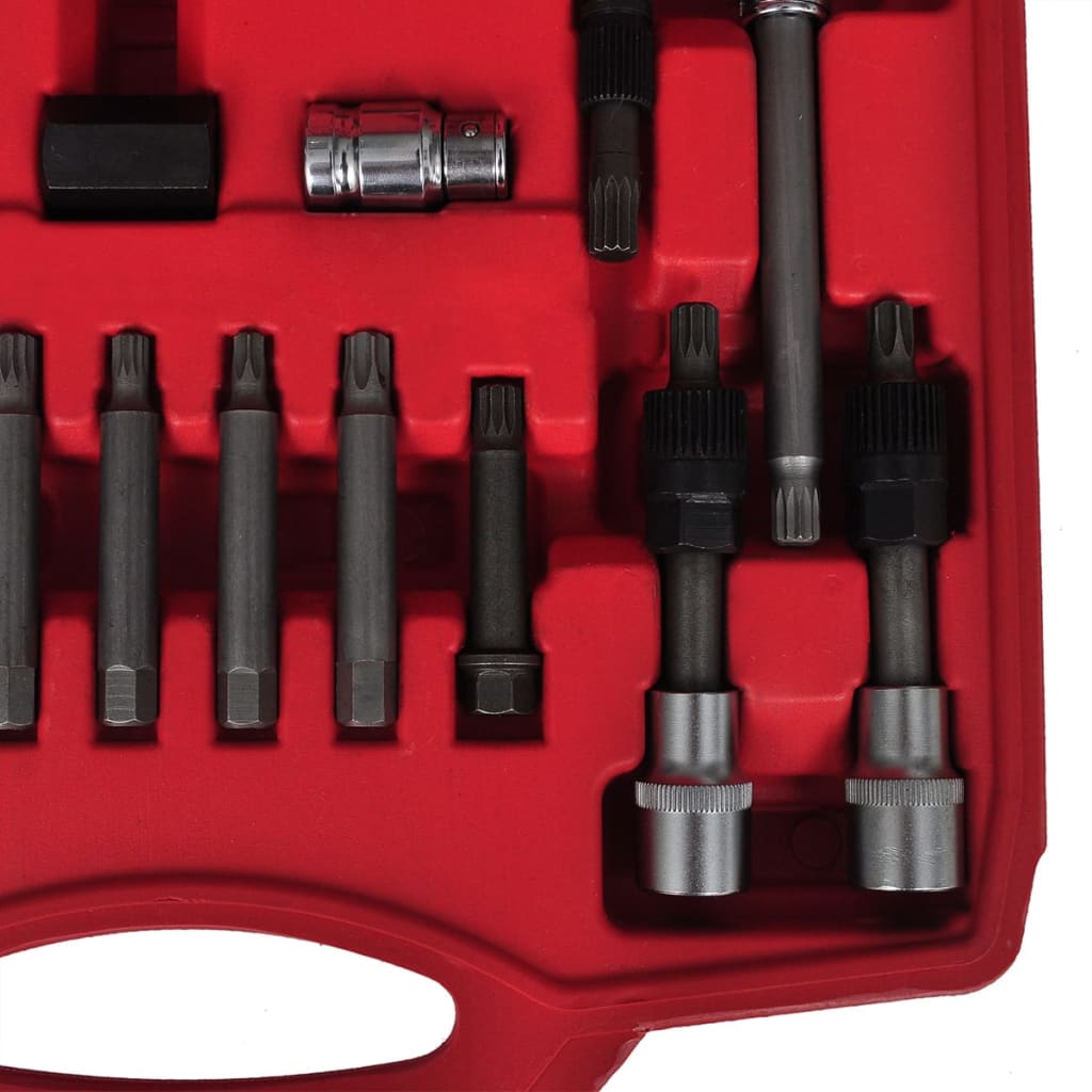 vidaXL Kit de démontage de roue libre d'alternateur 22 pcs