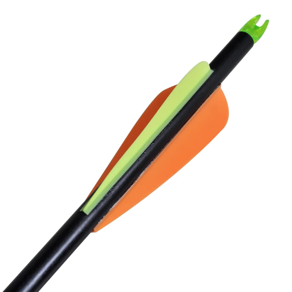 vidaXL Flèche d'arc à poulies standard 12pcs 30" 0,8 cm fibre de verre