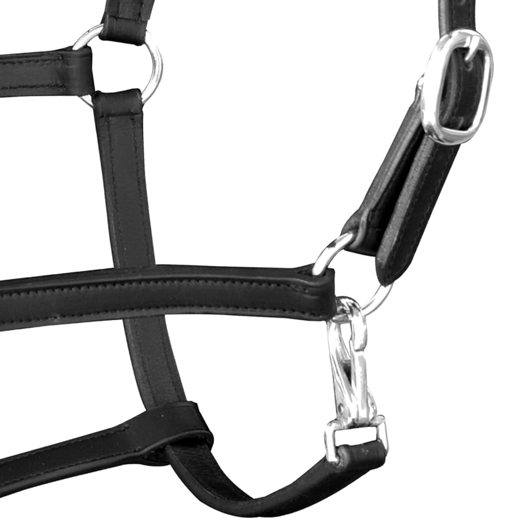 Licol Licou en cuir réglable pour écurie Cheval Noir