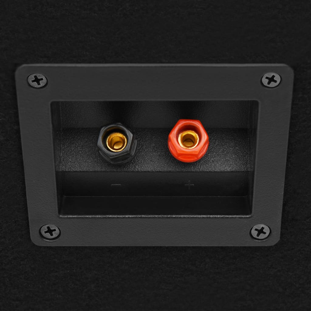 vidaXL Haut-parleurs scène Hifi passifs professionnels 2 pcs 800W Noir