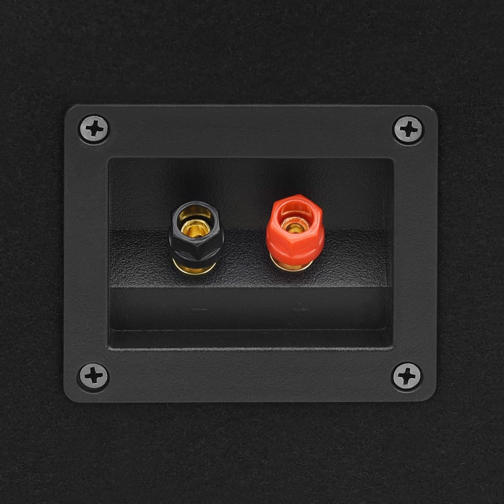 vidaXL Haut-parleurs de scène passives professionnelles Hifi 2pcs noir