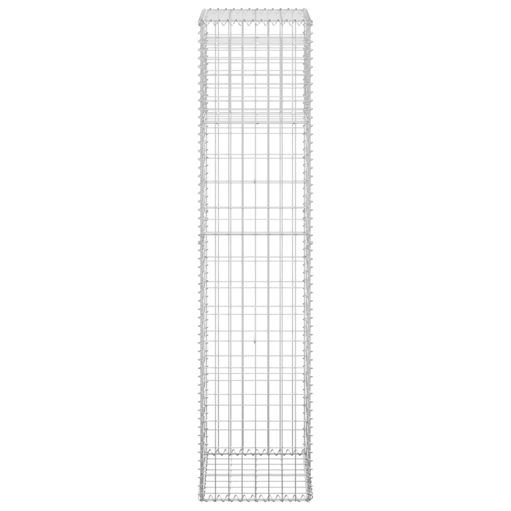 vidaXL Poteau à panier de gabion 40x40x180 cm Fer