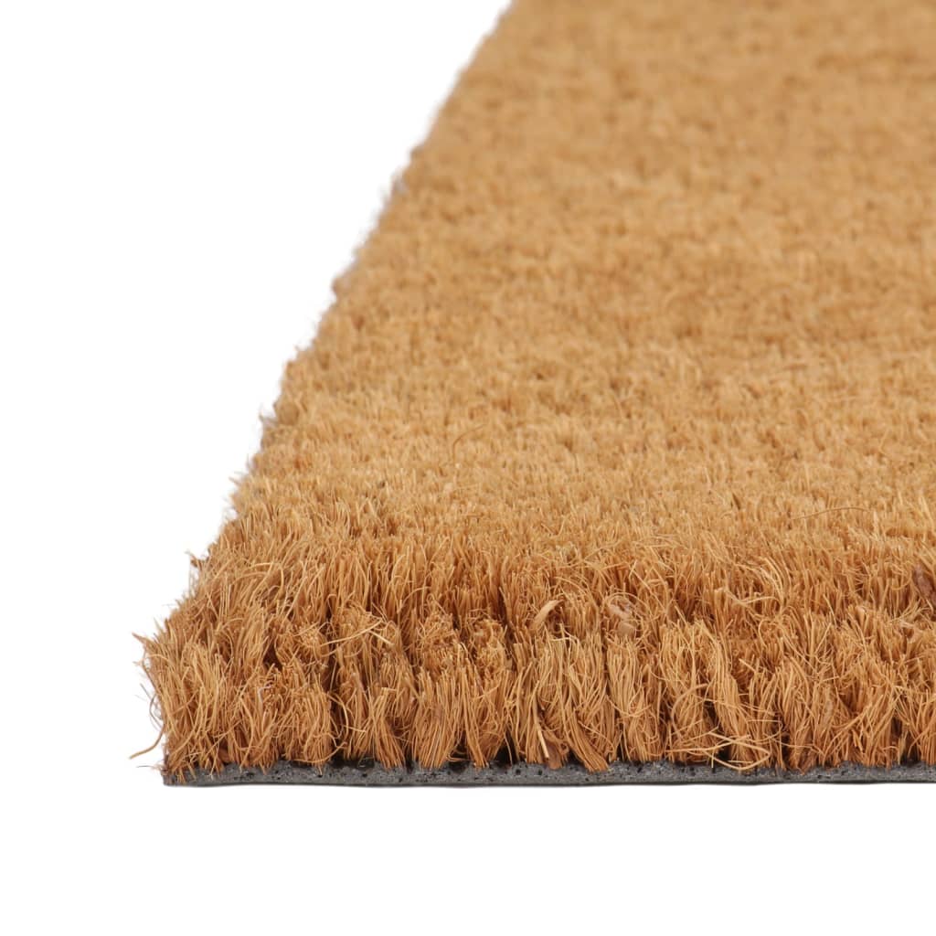 vidaXL Tapis de porte naturel 65x100 cm fibre de coco touffeté