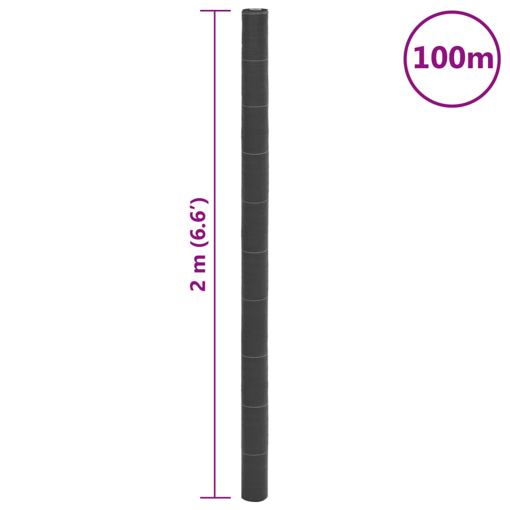 vidaXL Membrane anti-mauvaises herbes noir 2x100 m PP