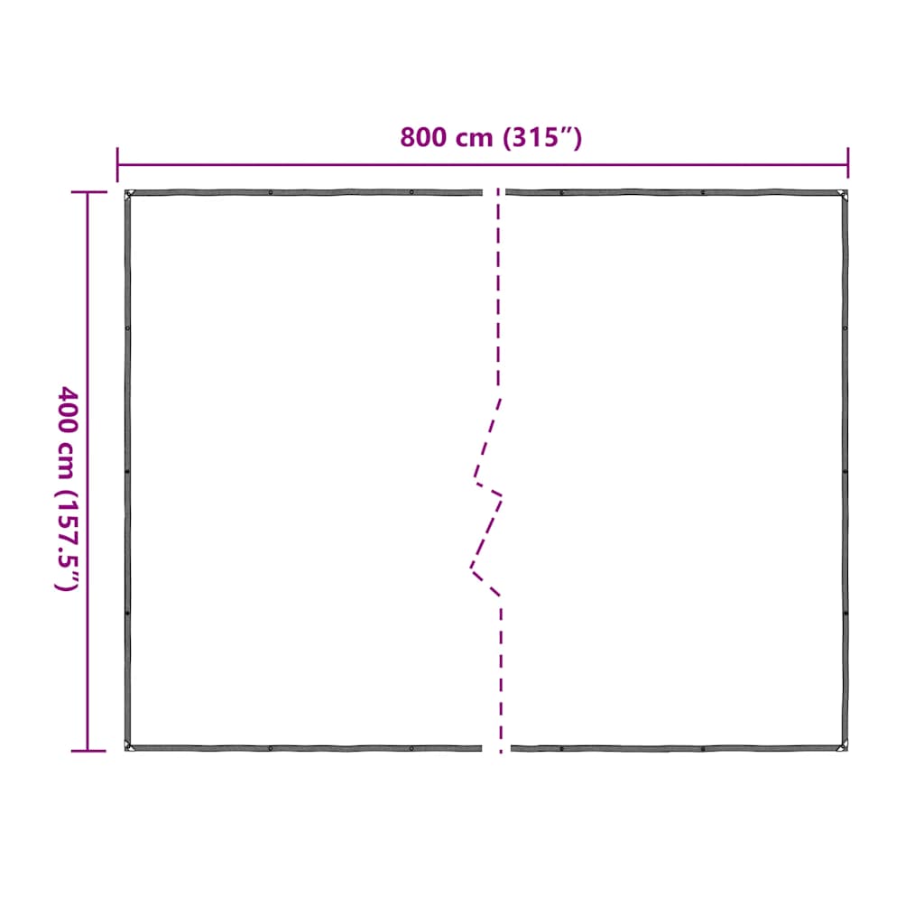 vidaXL Bâche transparente avec œillets 4x8 m polyéthylène