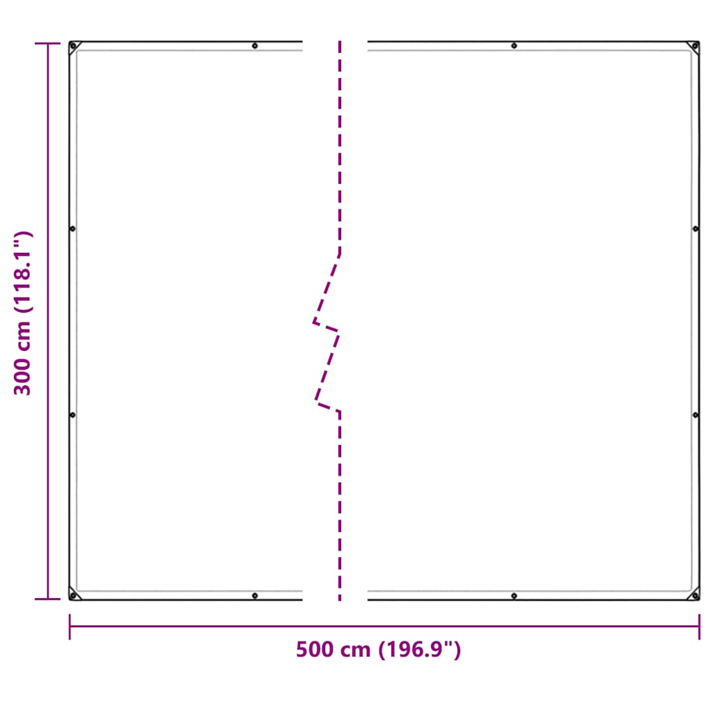 vidaXL Bâche transparente avec œillets 3x5 m PVC