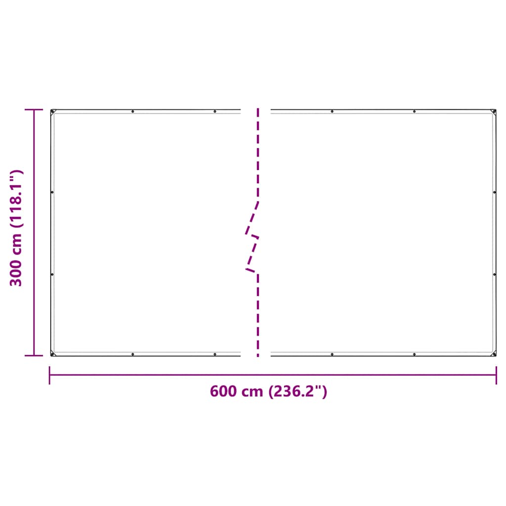 vidaXL Bâche transparente avec œillets 3x6 m PVC