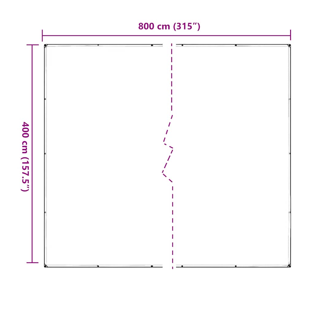 vidaXL Bâche transparente avec œillets 4x8 m PVC