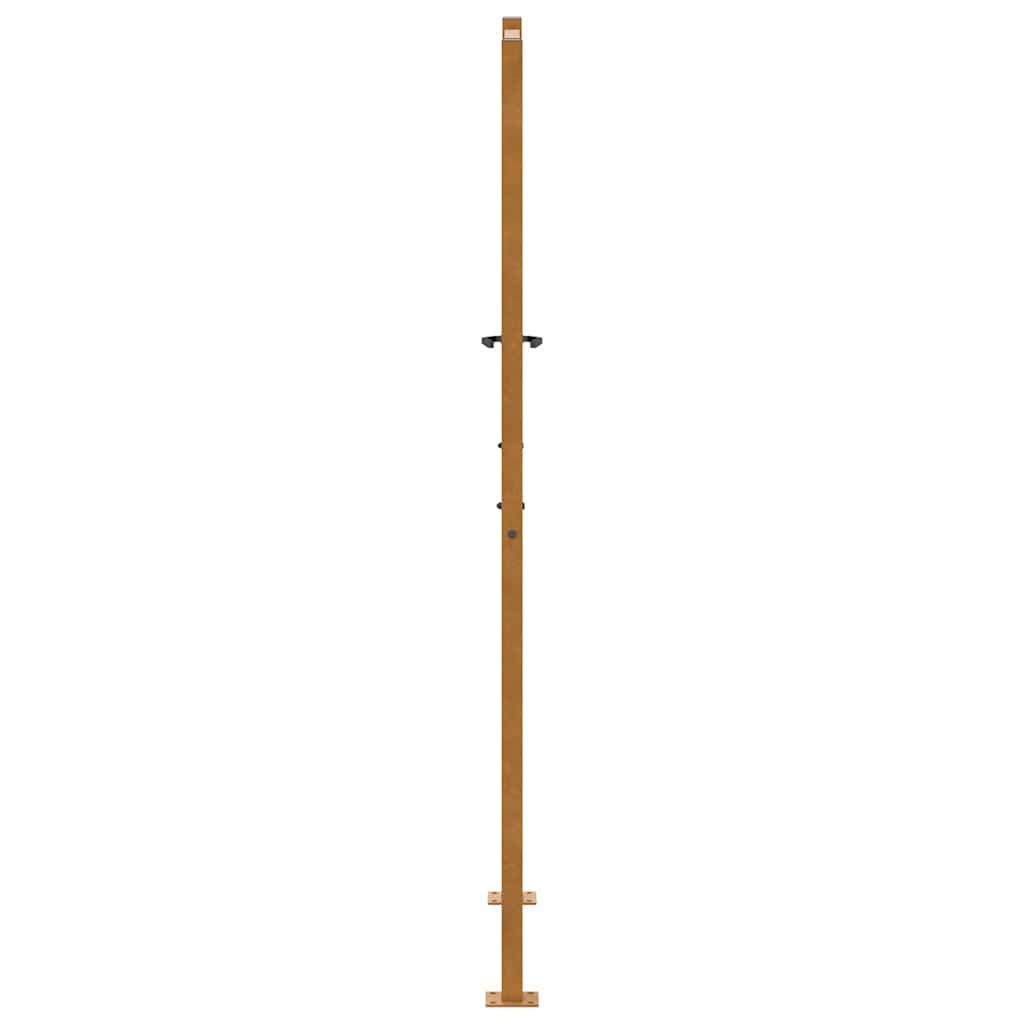 vidaXL Porte de jardin acier résistant aux intempéries design lumière