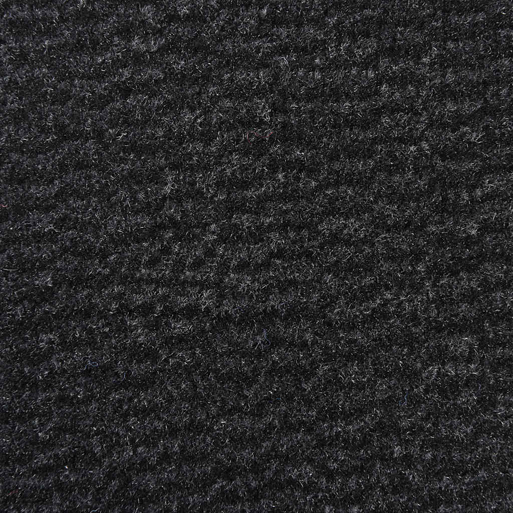 vidaXL Paillasson Noir 80x120 cm