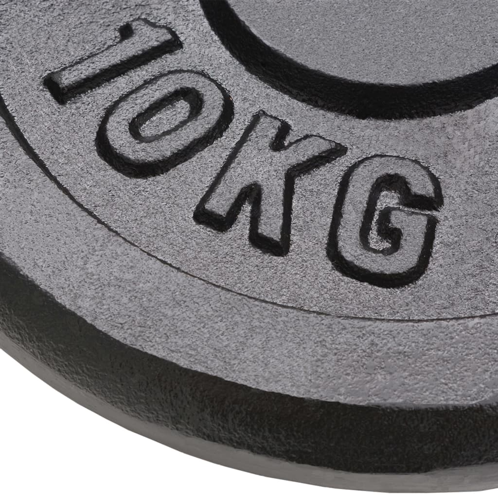 vidaXL Plaque de poids 2 pcs 2x10 kg Fonte