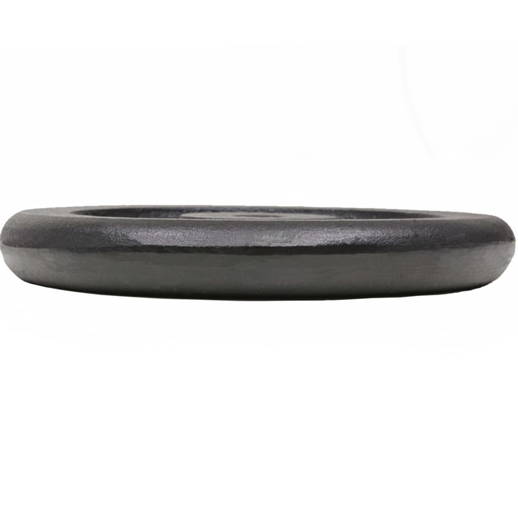 vidaXL Plaque de poids 2 pcs 2x15 kg Fonte