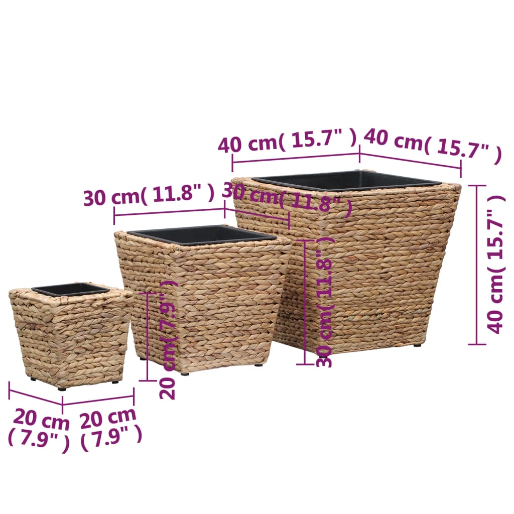 vidaXL Lits surélevés de jardin 3 pcs Jacinthe d'eau