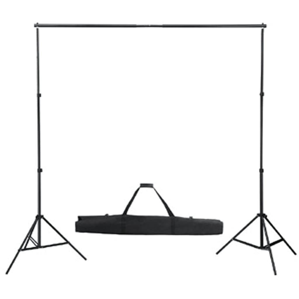 vidaXL Système de support de toile de fond 300 x 300 cm Noir