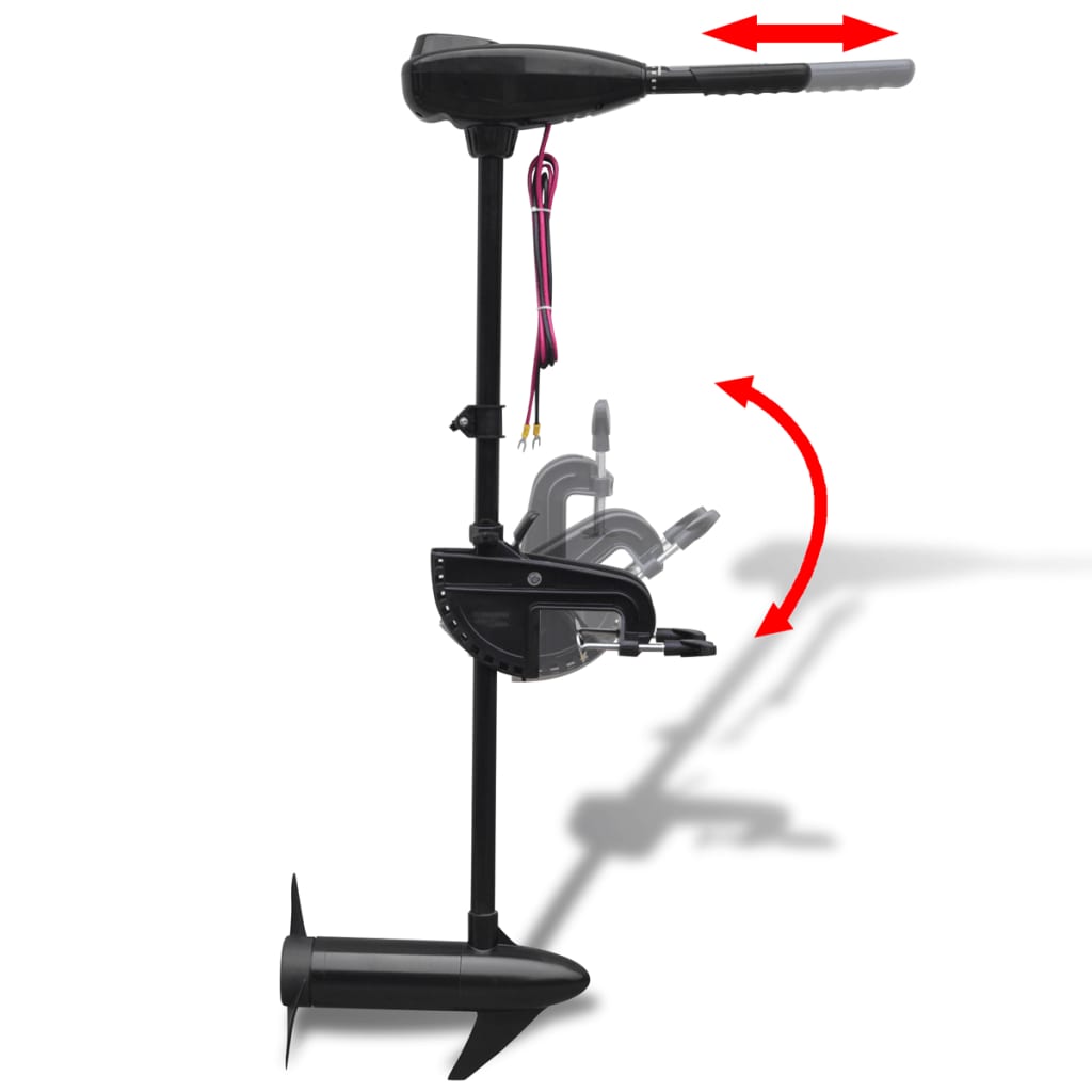 Moteur électrique pour bateau P22 46 lbs