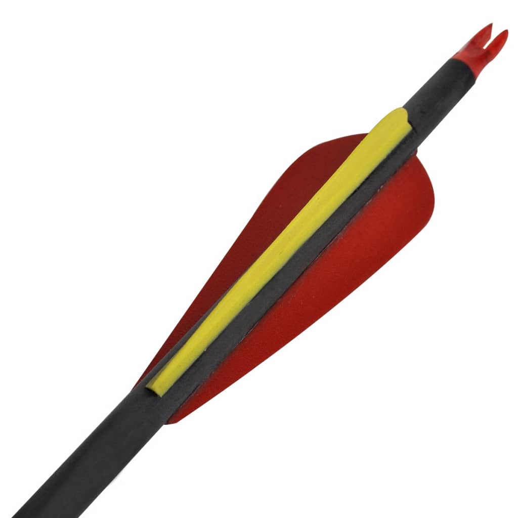 12 flèches standard en carbone 30" 0,76 cm pour arc classique