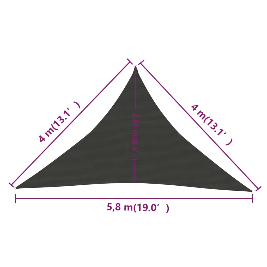 vidaXL Voile d'ombrage 160 g/m² Anthracite 4x4x5,8 m PEHD