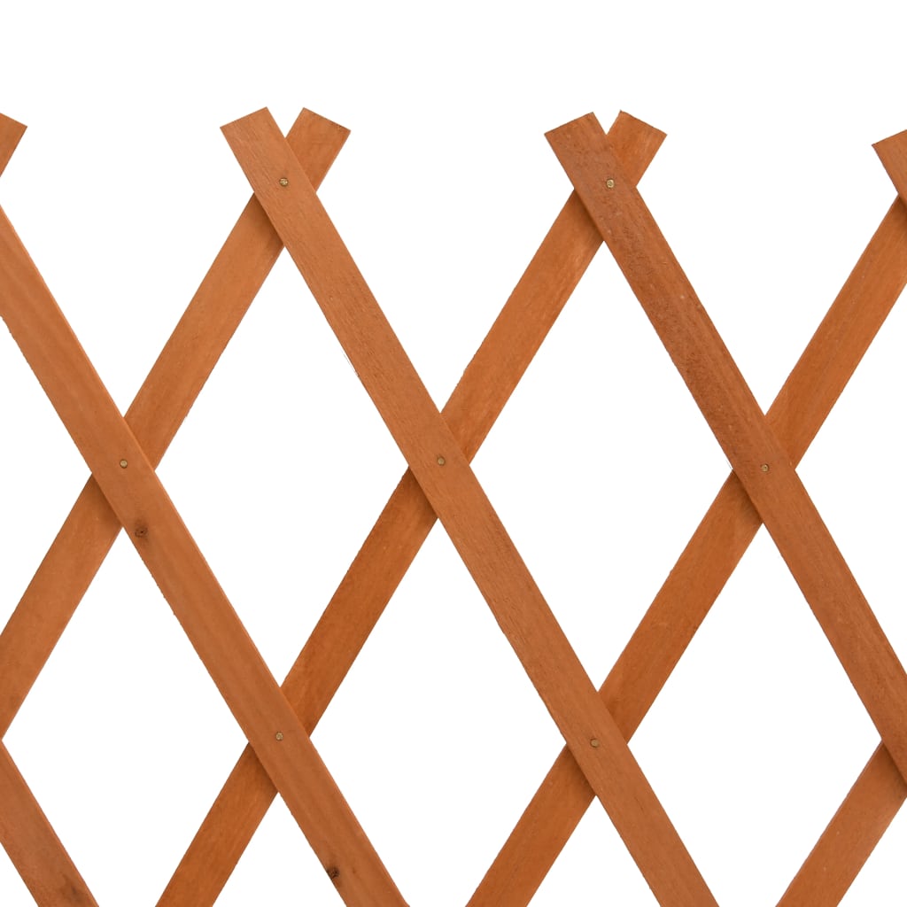 vidaXL Clôture en treillis de jardin Orange 120x60 cm Bois de sapin