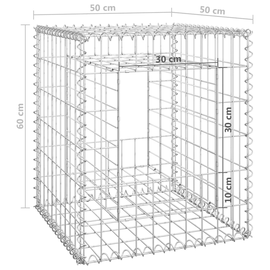 vidaXL Poteaux à panier de gabion 2 pcs 50x50x60 cm Fer