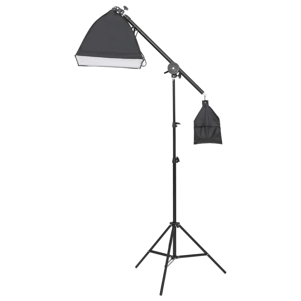 vidaXL Kit d'éclairage de studio avec trépied et boîte à lumière