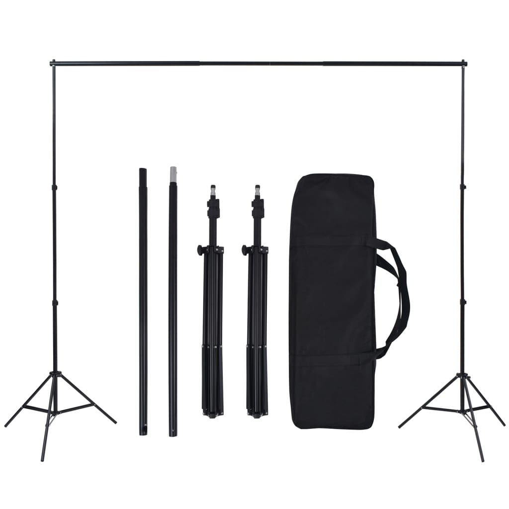 vidaXL Kit de studio photo avec boîte à lumière et toile de fond