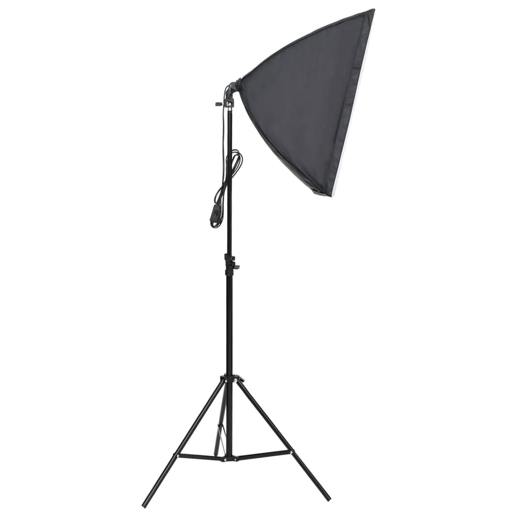 vidaXL Kit de studio photo avec boîte à lumière et toile de fond