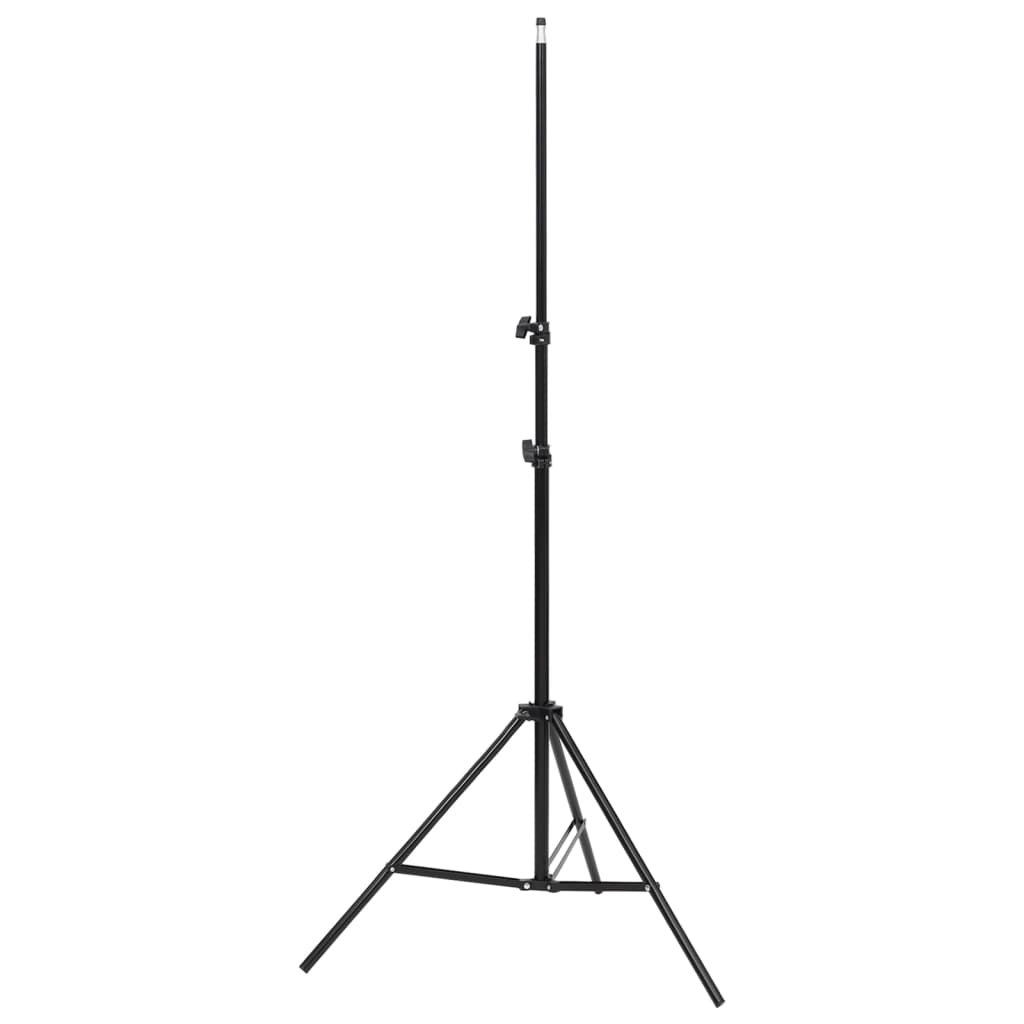vidaXL Kit de studio photo avec éclairage et toile de fond