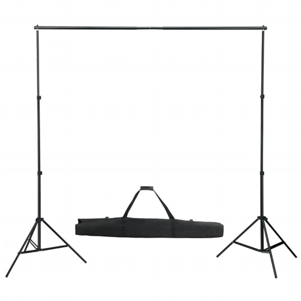 vidaXL Kit de studio photo avec éclairage et toile de fond