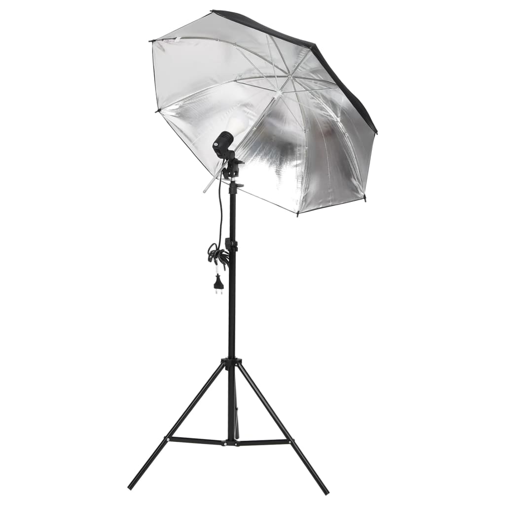 vidaXL Kit de studio photo avec éclairage et toile de fond