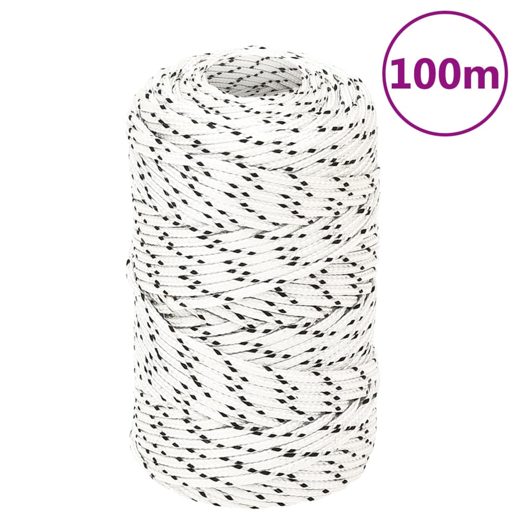 vidaXL Corde de bateau tressé Blanc 2 mmx100 m Polyester