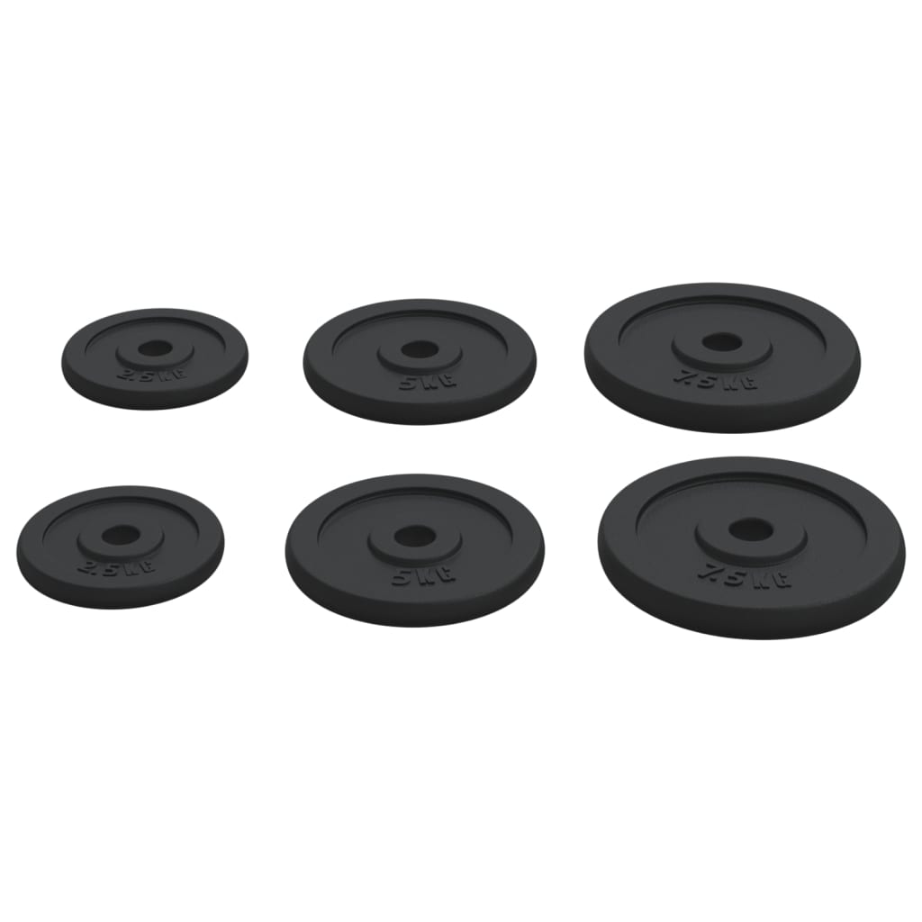 vidaXL Plaques de poids 6 pcs 30 kg Fonte