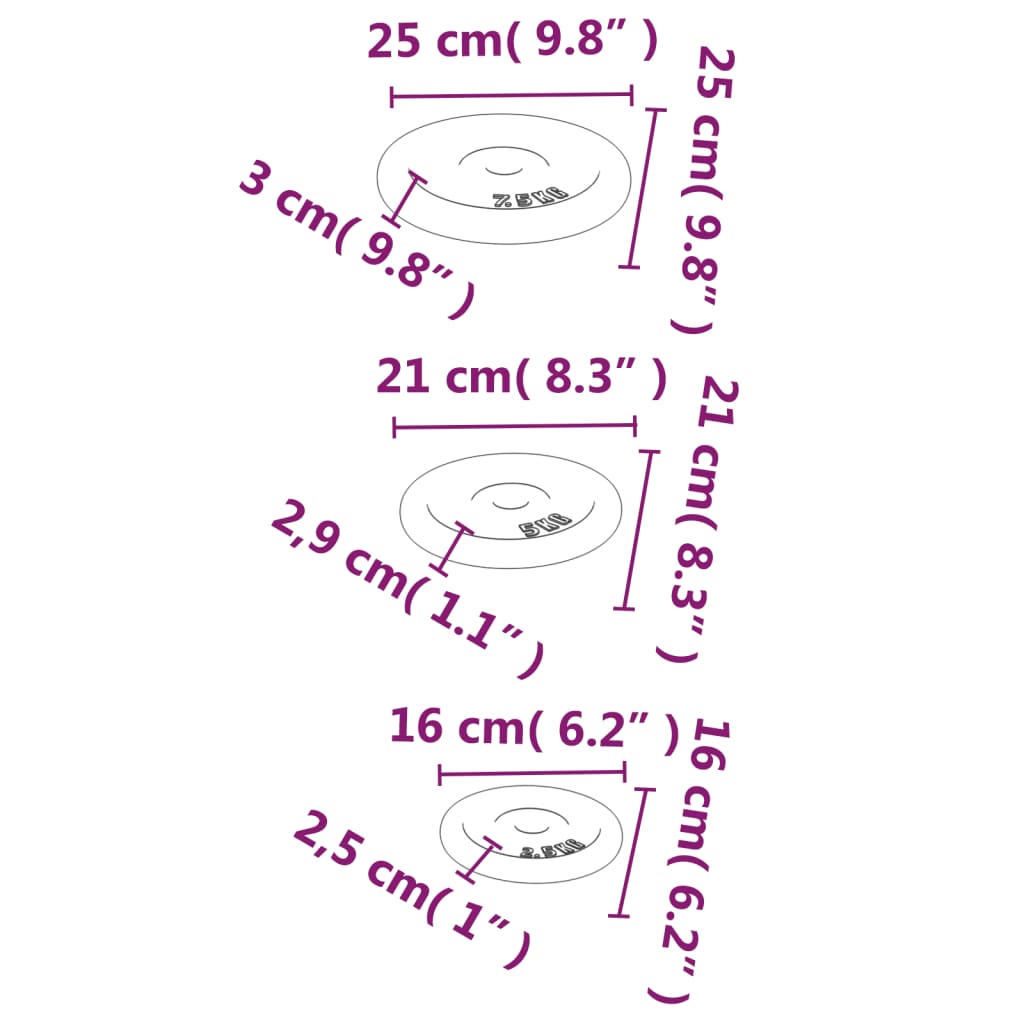 vidaXL Plaques de poids 6 pcs 30 kg Fonte