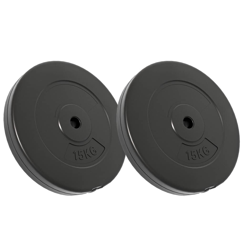vidaXL Plaques de poids 2 pcs 30 kg Béton