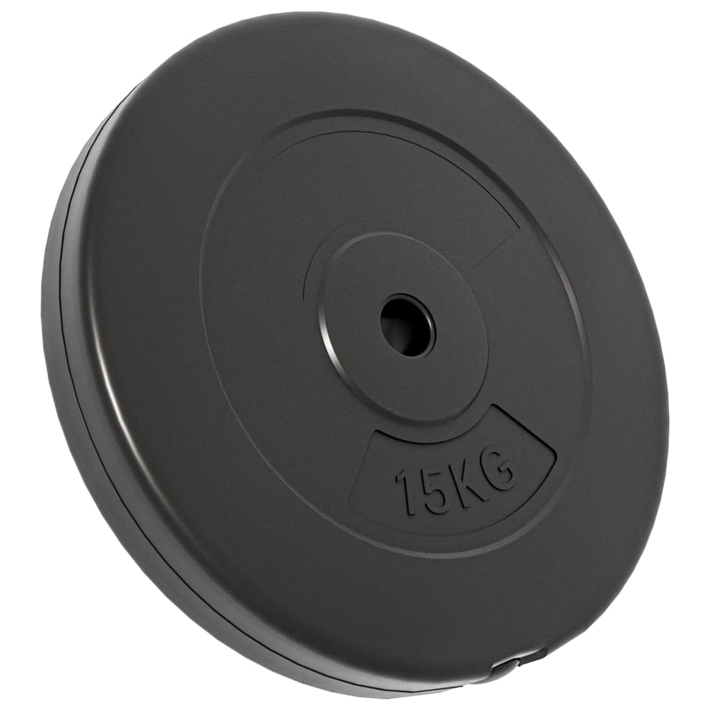 vidaXL Plaques de poids 2 pcs 30 kg Béton