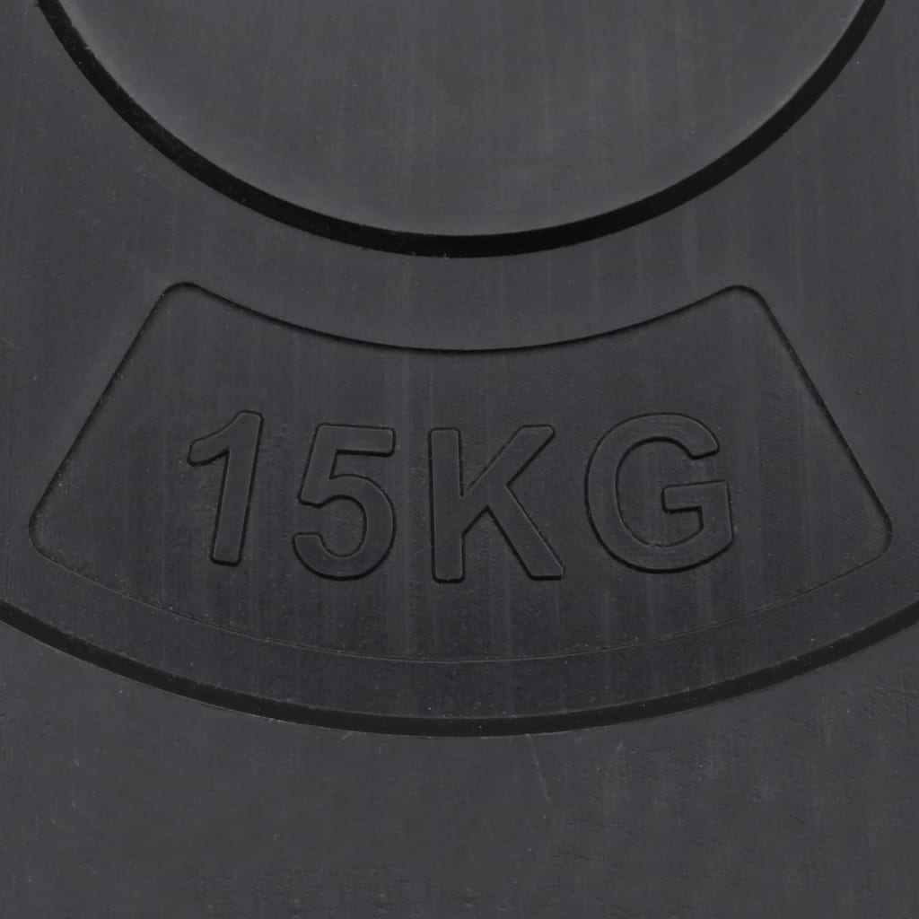 vidaXL Plaques de poids 2 pcs 30 kg Béton
