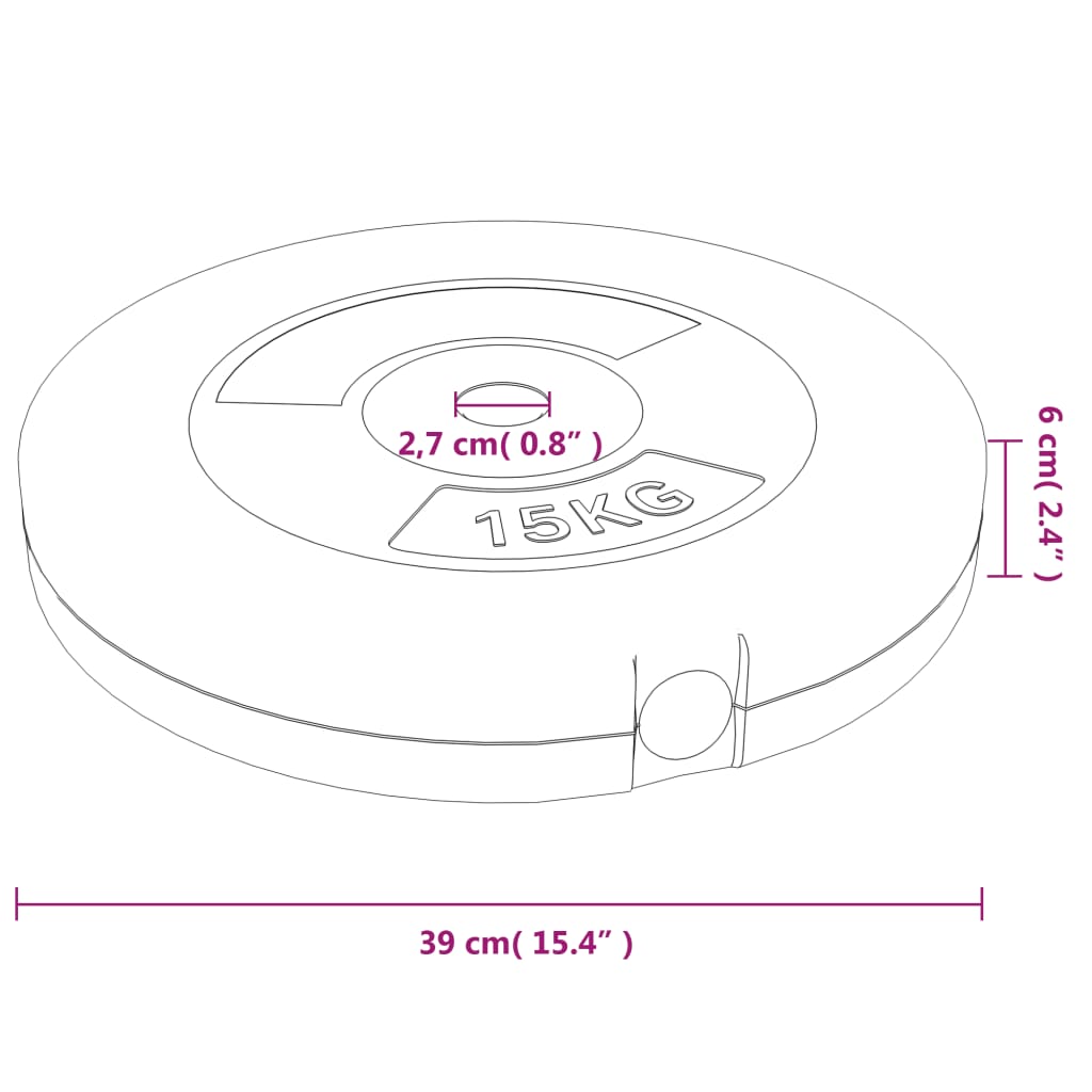 vidaXL Plaques de poids 2 pcs 30 kg Béton