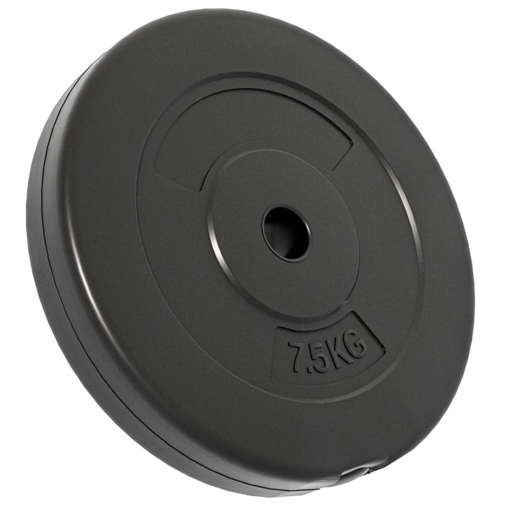 vidaXL Plaques de poids 6 pcs 30 kg Béton