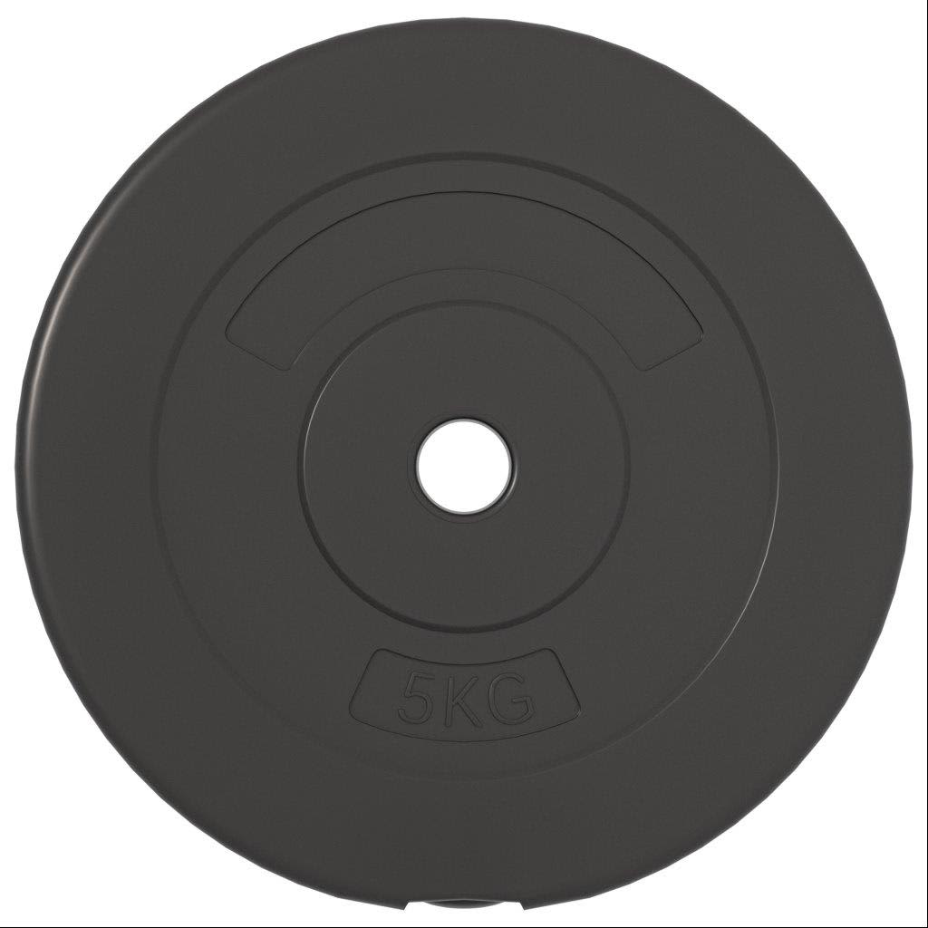 vidaXL Plaques de poids 6 pcs 30 kg Béton