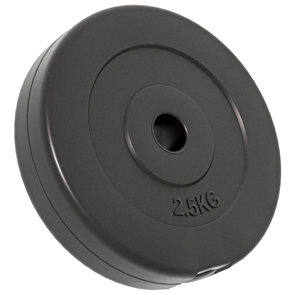 vidaXL Plaques de poids 6 pcs 30 kg Béton