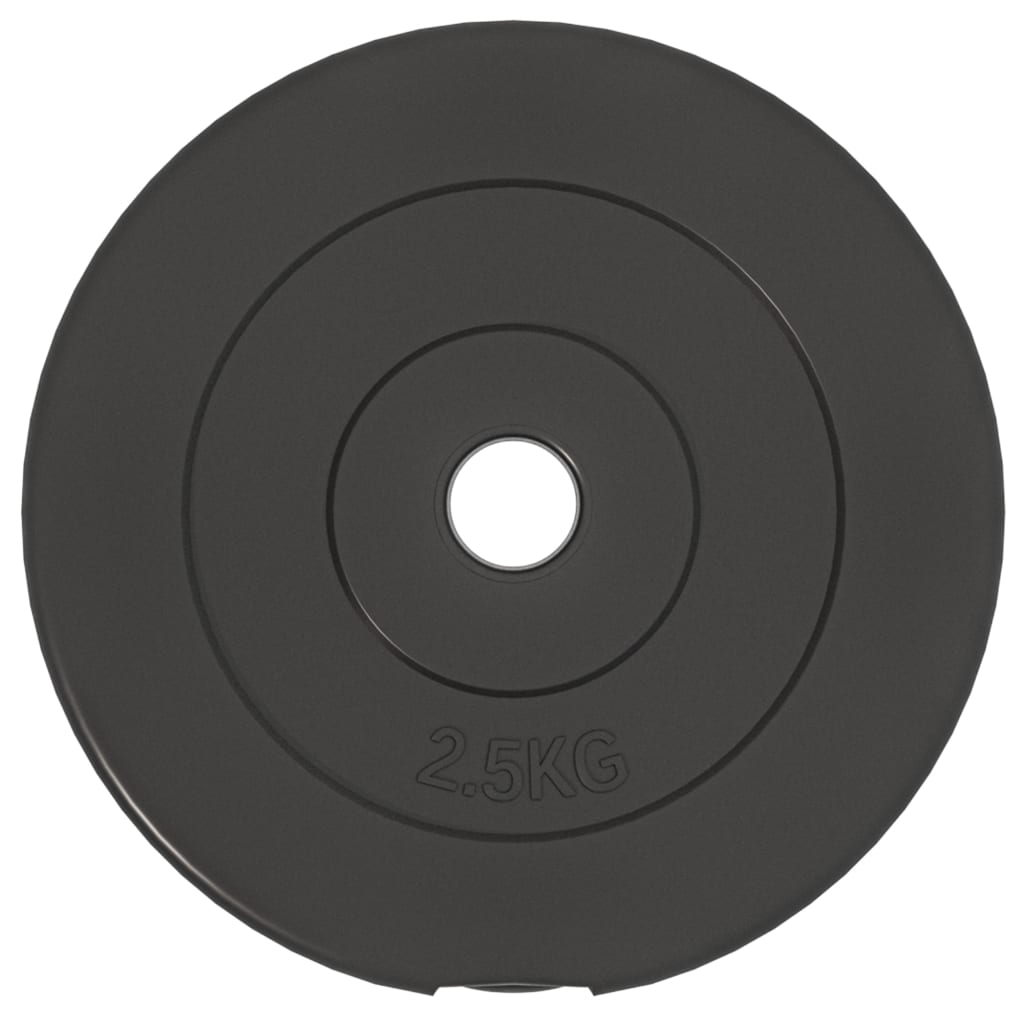 vidaXL Plaques de poids 6 pcs 30 kg Béton