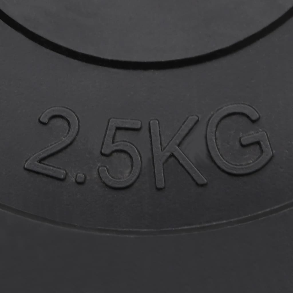 vidaXL Plaques de poids 6 pcs 30 kg Béton