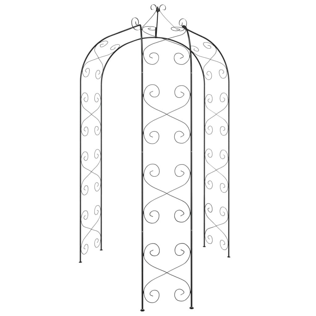 vidaXL Arche de jardin Noir Ø180x255 cm Acier