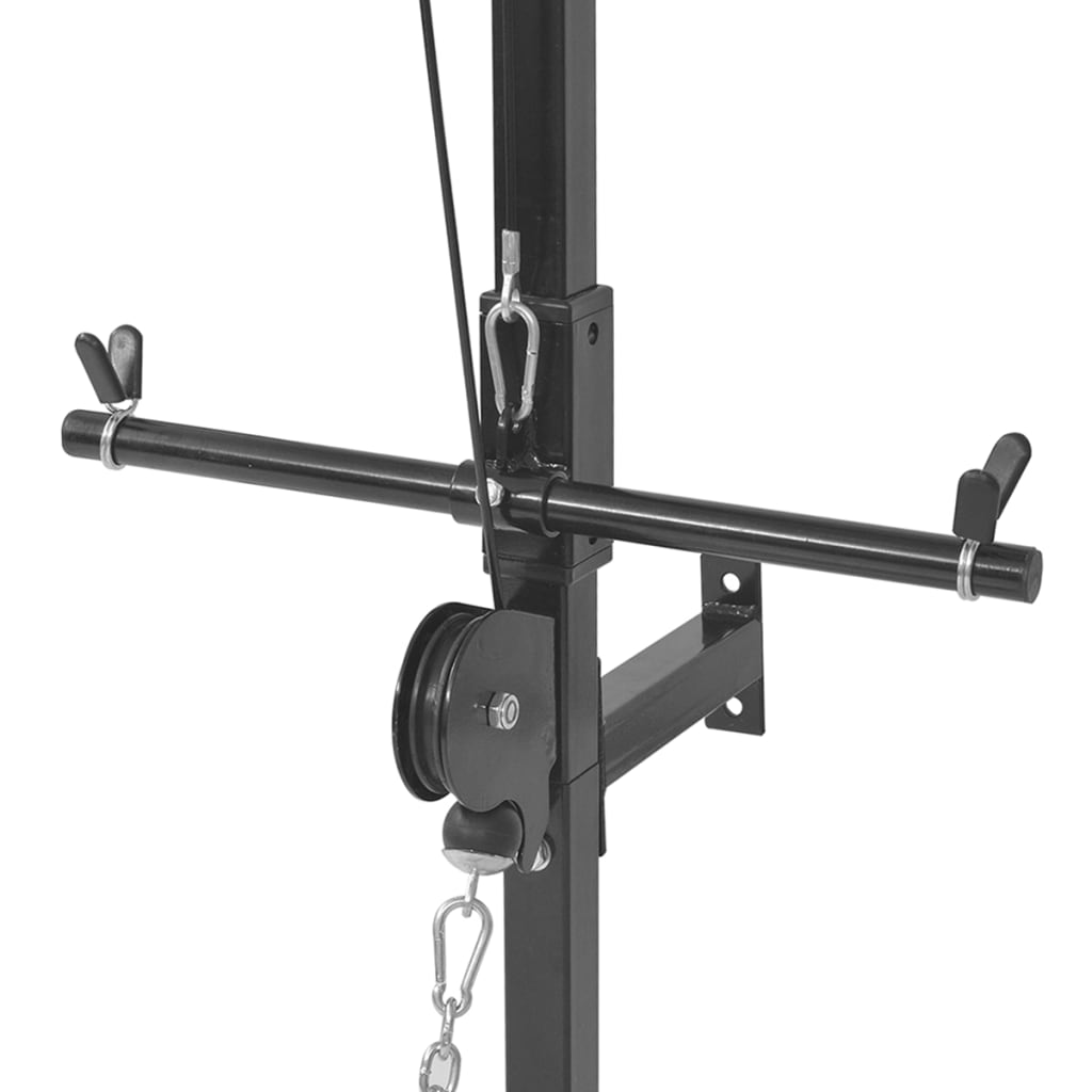 vidaXL Tour de musculation murale avec plaques de poids 40 kg