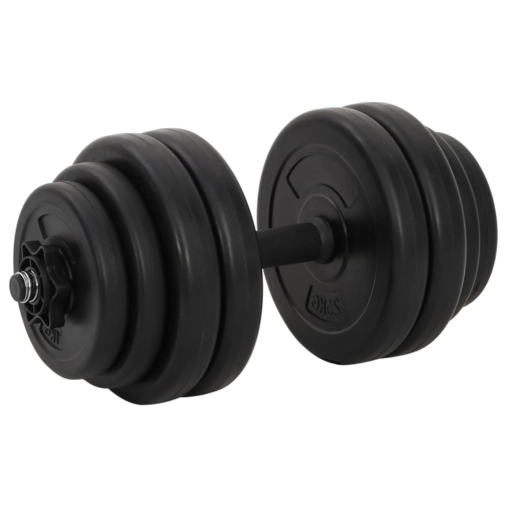 vidaXL Haltères 2 x 15 kg