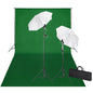 vidaXL Kit de studio et toile de fond verte 600 x 300 cm et lumières