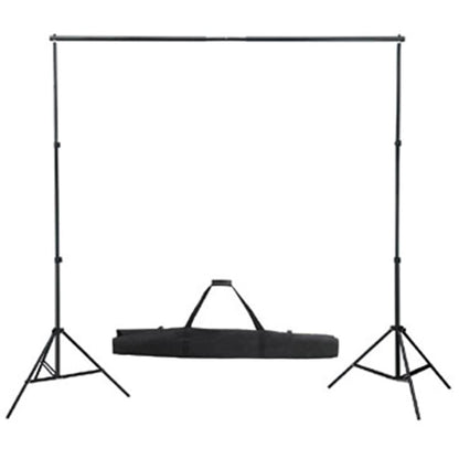 vidaXL Kit de studio et toile de fond verte 600 x 300 cm et lumières