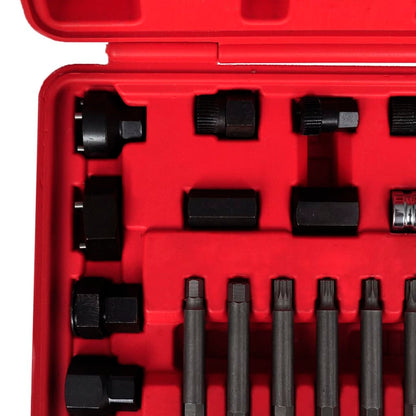 vidaXL Kit de démontage de roue libre d'alternateur 22 pcs