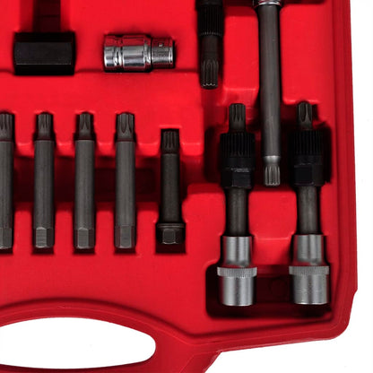 vidaXL Kit de démontage de roue libre d'alternateur 22 pcs