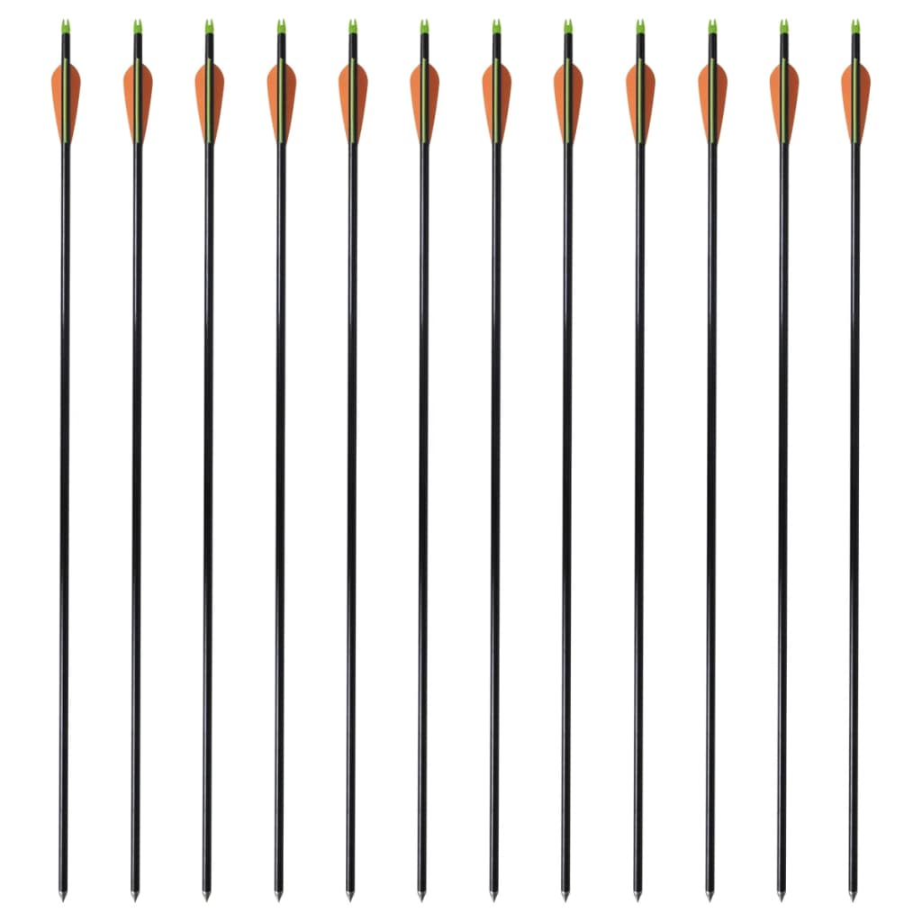 vidaXL Flèche d'arc à poulies standard 12pcs 30" 0,8 cm fibre de verre